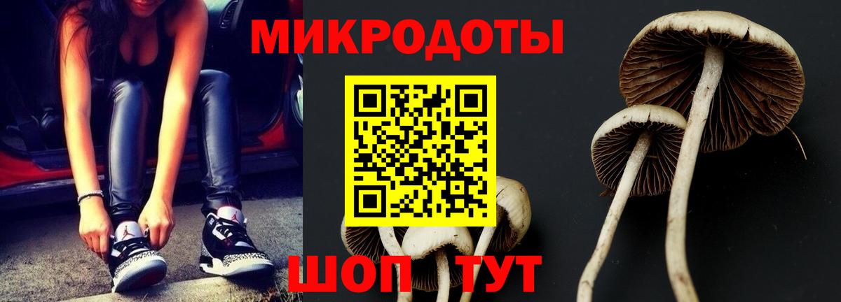 Псилоцибиновые грибы GOLDEN TEACHER  Вход с VPN  Благодарный 